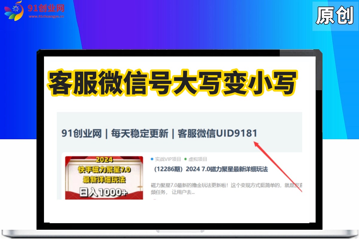 （007期）网站首页客服微信号大写字母变小写字母